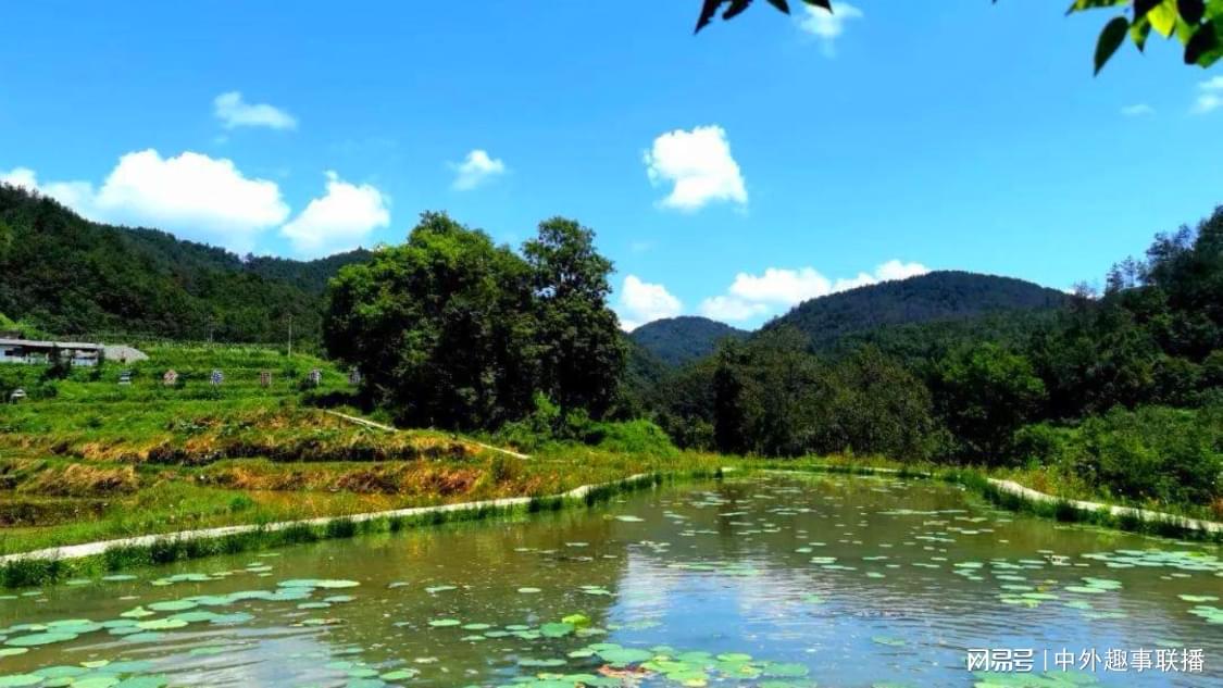 近日联名推广轻量化搭建您的社群平台全面评测:成本控制与效果提升的关键策略,抖音一元涨赞：低价获赞秘籍提升内容曝光度诀窍